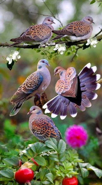 FB IMG 1548053317234