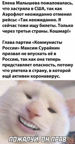 picture_276853764