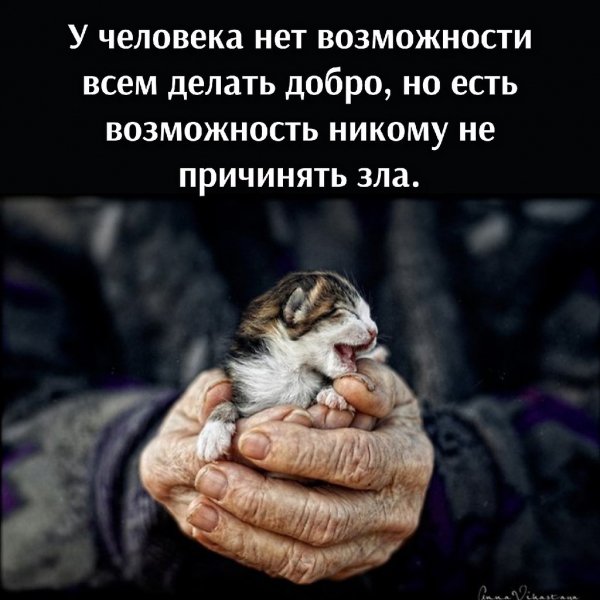 Не причинять зла