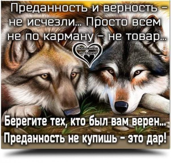 FB IMG 1550772820571