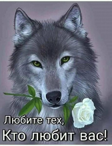 FB IMG 15462976441652410