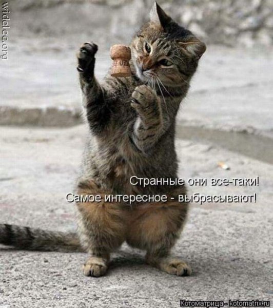 )))))))