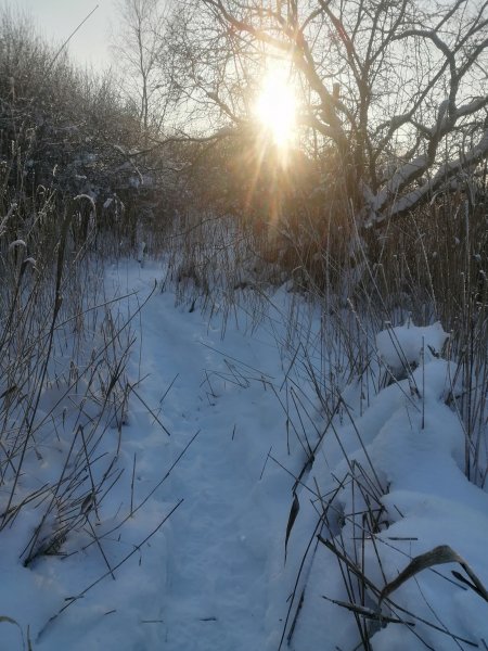 Рыбалка