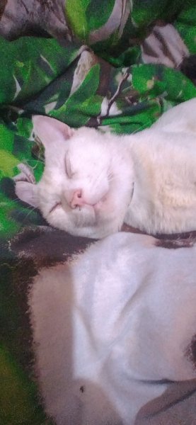 IMG 20220816 180933