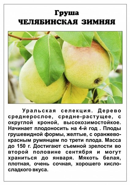 Для нашего сада