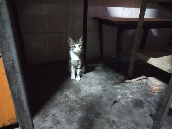 IMG 20210818 184240