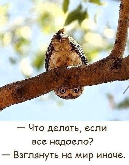 IMG 20200523 193833 454