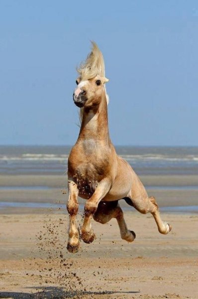 gh7TUWvO3U8
