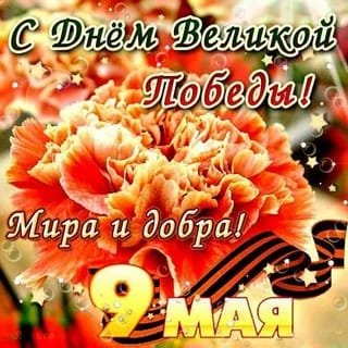 IMG-20190509-WA0004