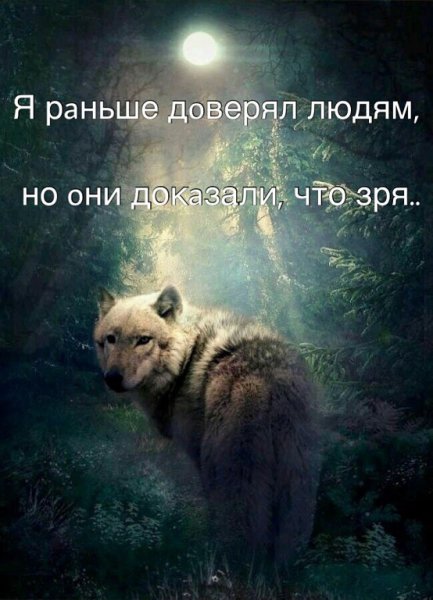 IMG 20190122 205917 41