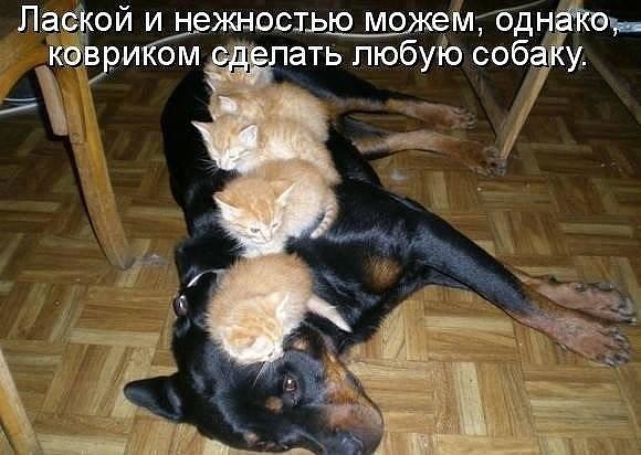 image001
