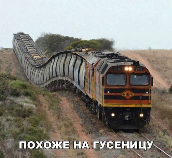 Arhivka ru 3045