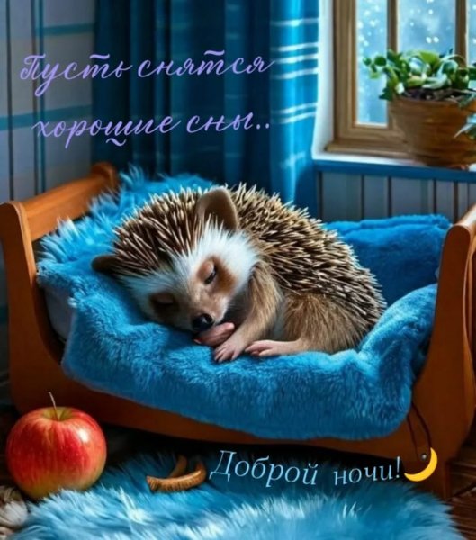 a2ee35f67343ca4126c0cadc59c77