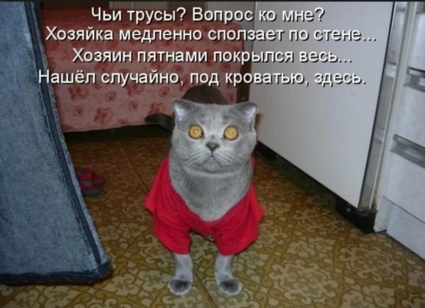 Оба-на!