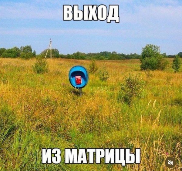 C1769b1234 20401446