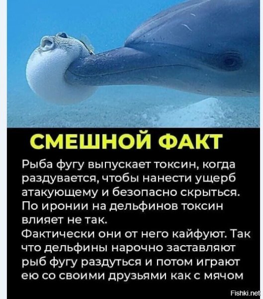 )