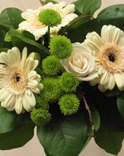 Flowers 282
