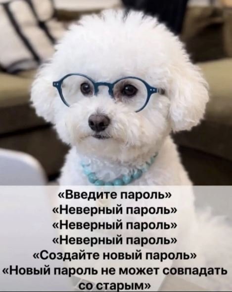 Hkhjj