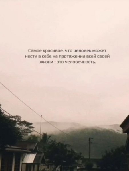 IMG-20260411-WA0110