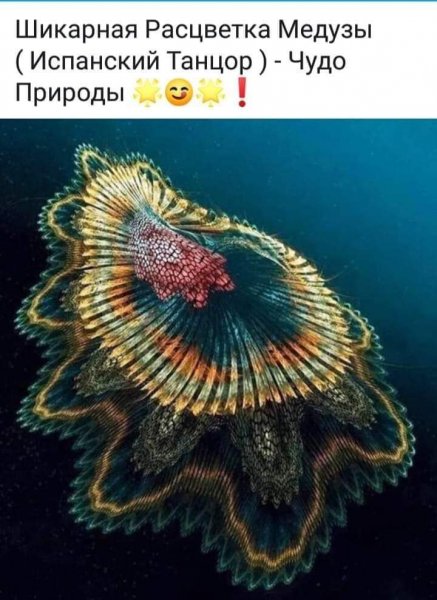 FB IMG 1617324205279