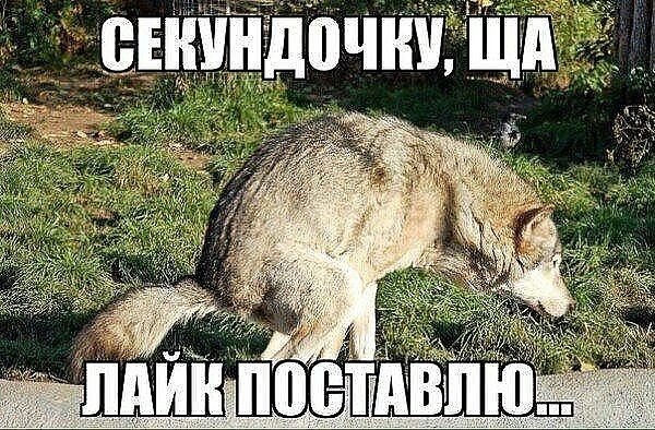 a008afc9664b635f3d8511c80cada