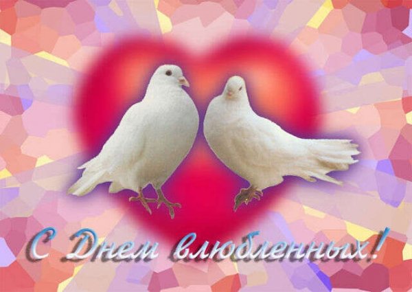 getImage19