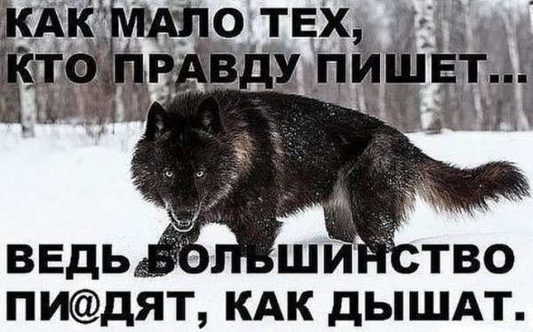 image(6)