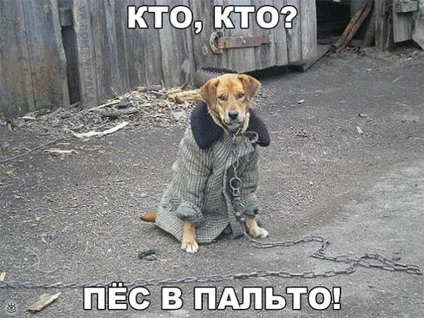 image (4)