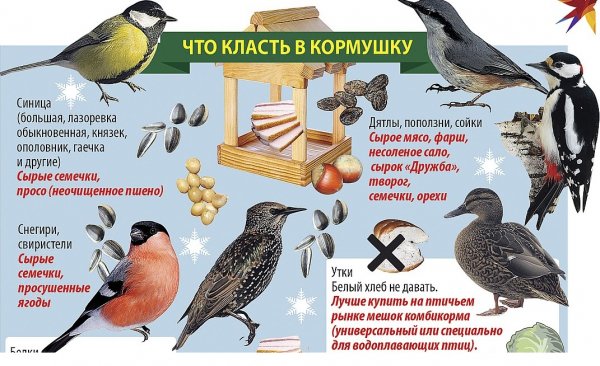 Kormyshka oper