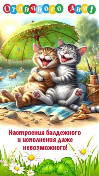 IMG 20260810 195546 842