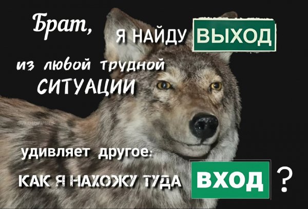IMG 20260328 113307 061
