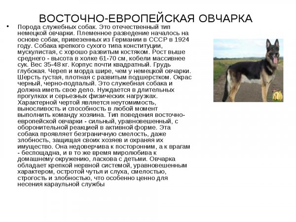 Овчарка