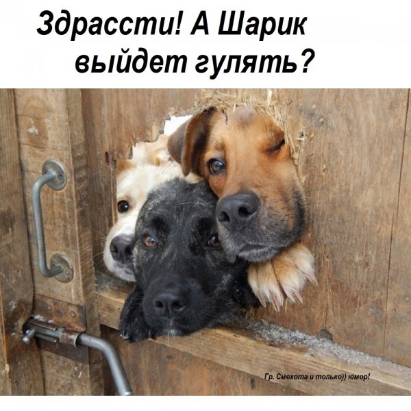 А???