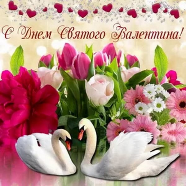 IMG-20190214-WA0011