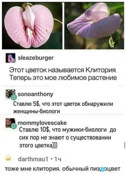 FB IMG 1610107703877