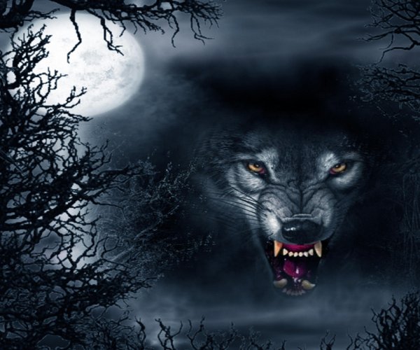 Wolf abstract-wallpaper-10612195