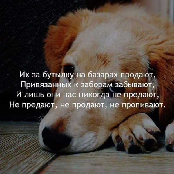b4f649a5cf306db9da81da306