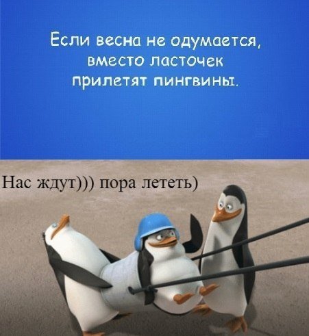 LkL9ufv1Ub4