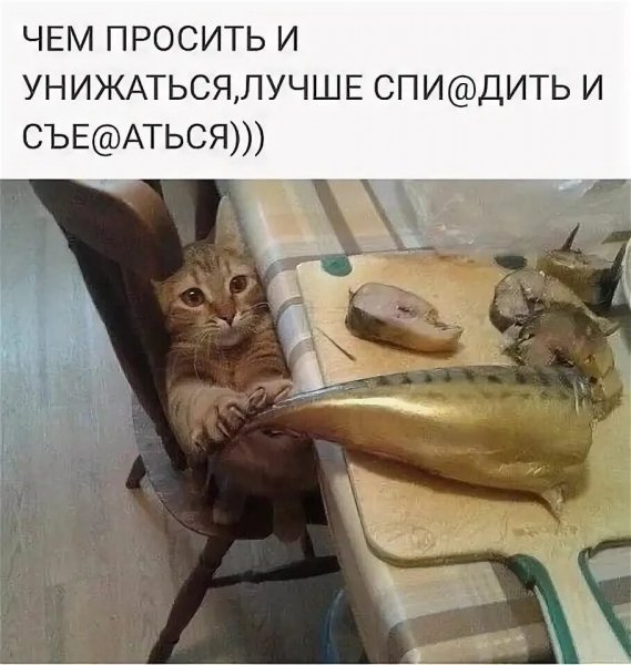 Да! ))