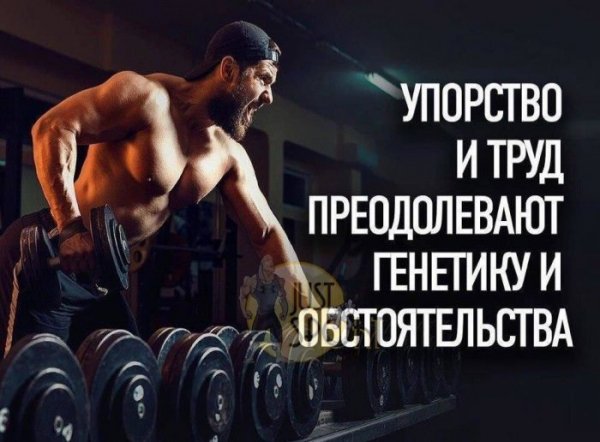 E0f6a839a1666a707eeb