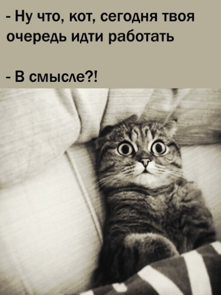 В смысле?!