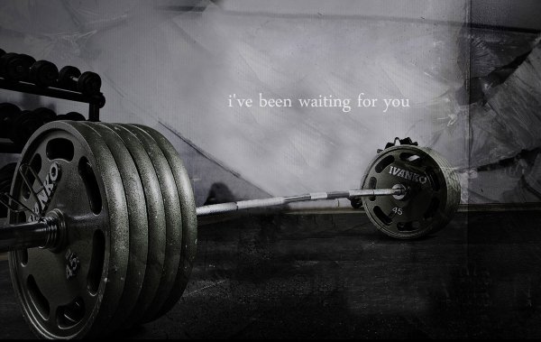 gym-bodybuilding-shtanga