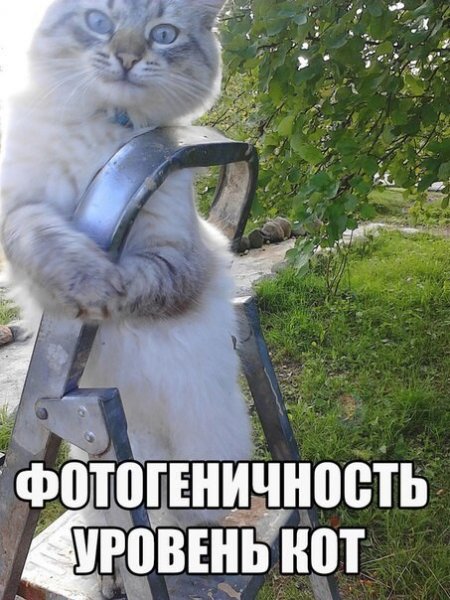 IMG 20220101 225351
