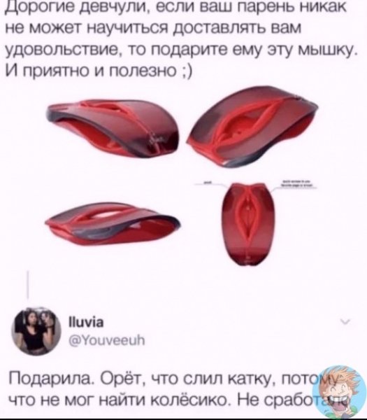 picture_419226387
