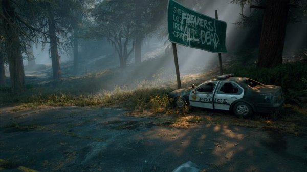 Days Gone