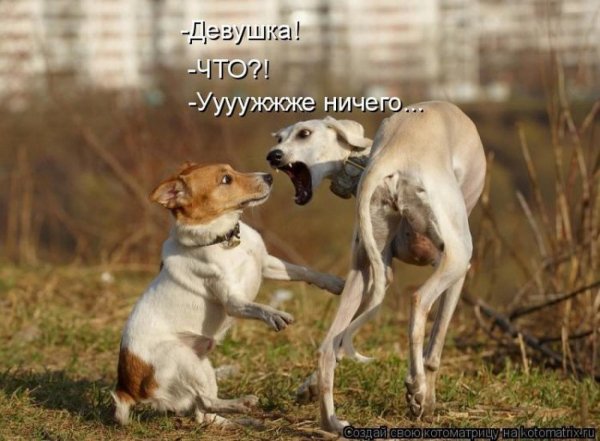 Опаньки!