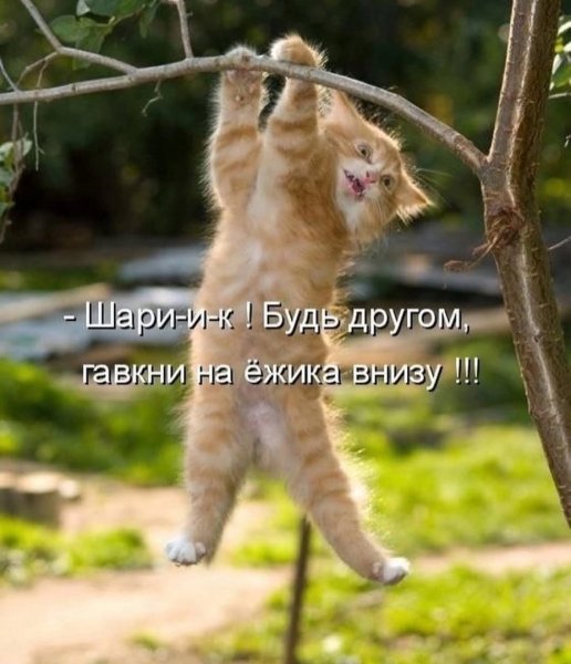 IMG 20220629 214913