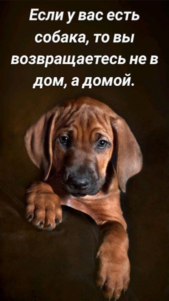 Так и есть!