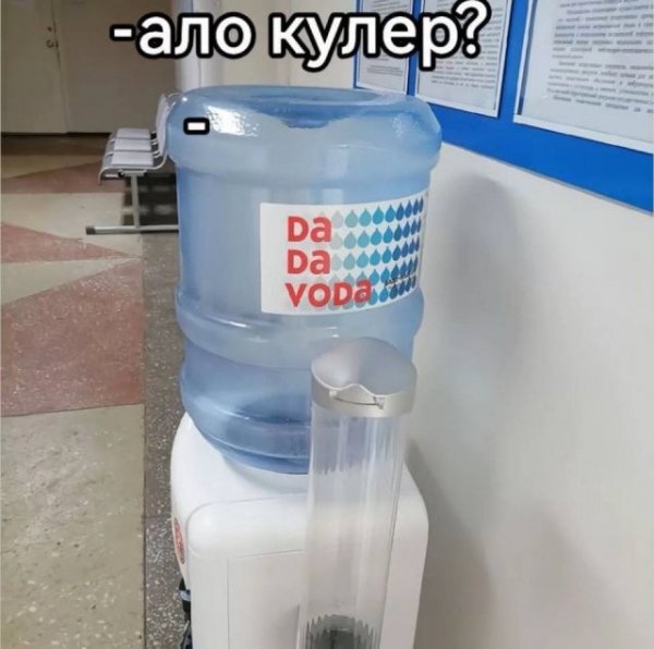 Кулер)