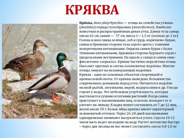 a1bc18c078c55dd27d9c9e7110513